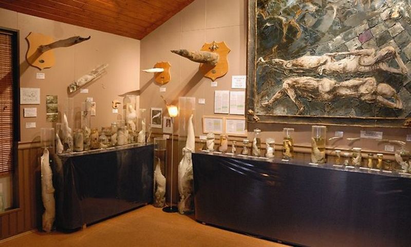 Фаллологічний музей