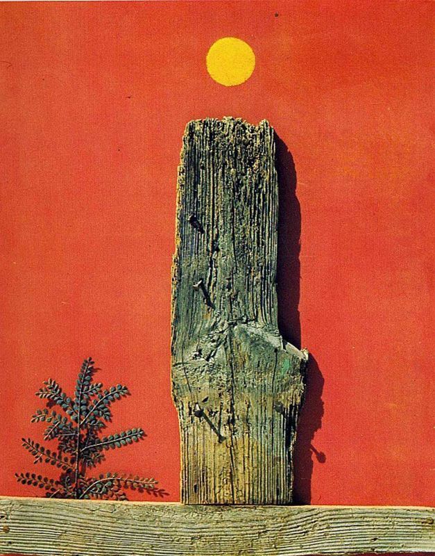 Красный лес, 1970 г